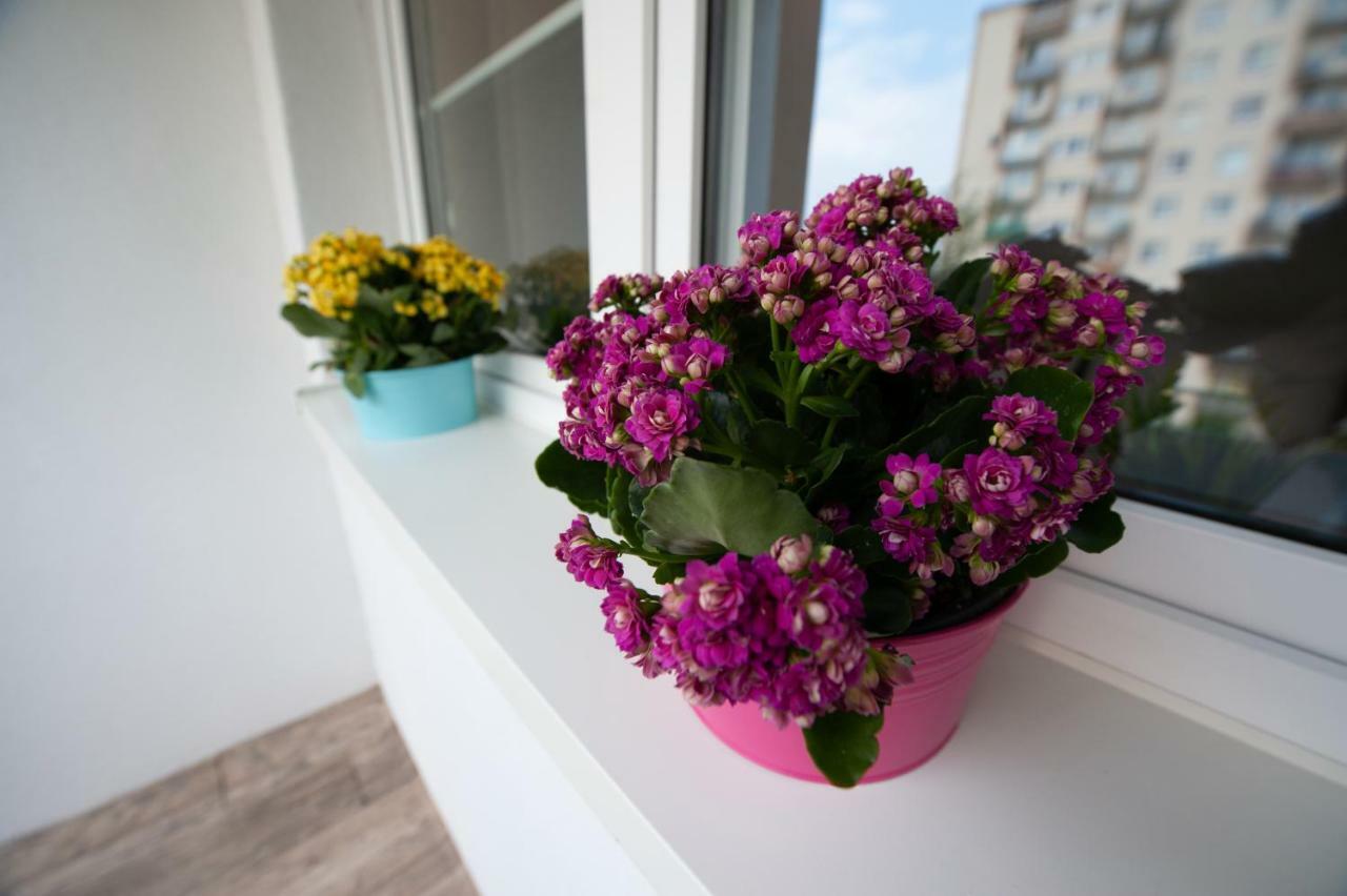 לודז' Time For You Apartments 1 מראה חיצוני תמונה